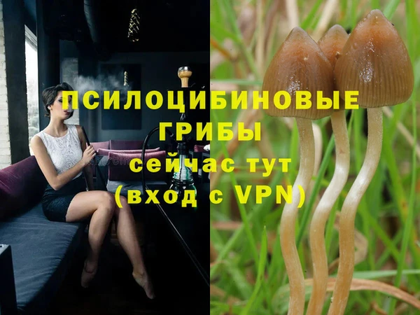 мескалин Нефтекумск